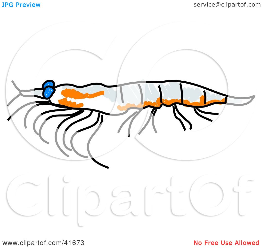 zooplankton clipart - photo #25