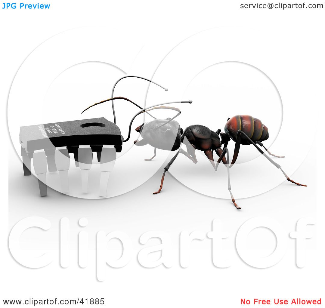 worker ant clipart - photo #49