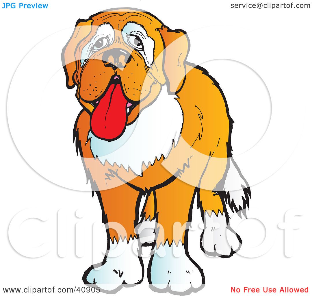clipart st.bernard dog - photo #36