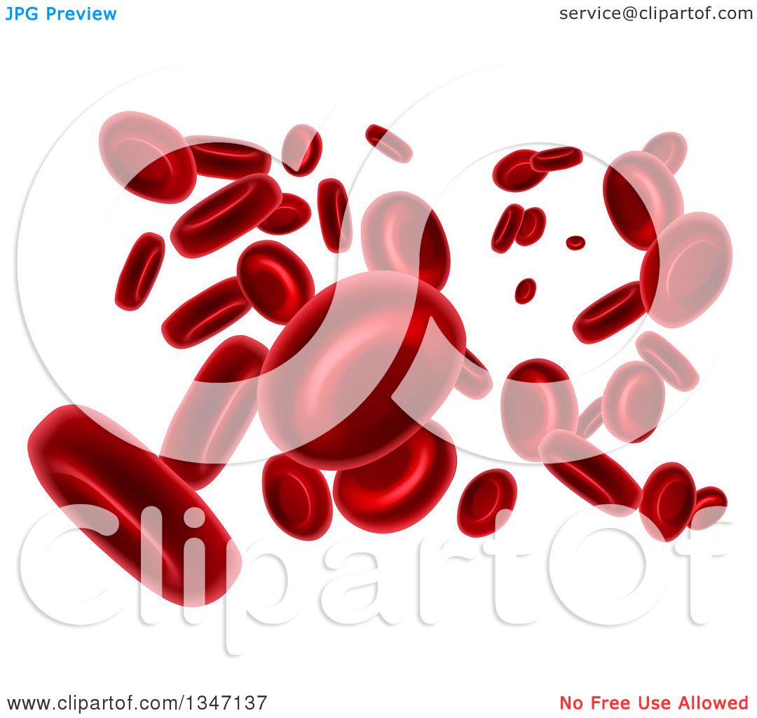 clipart red blood cell - photo #45