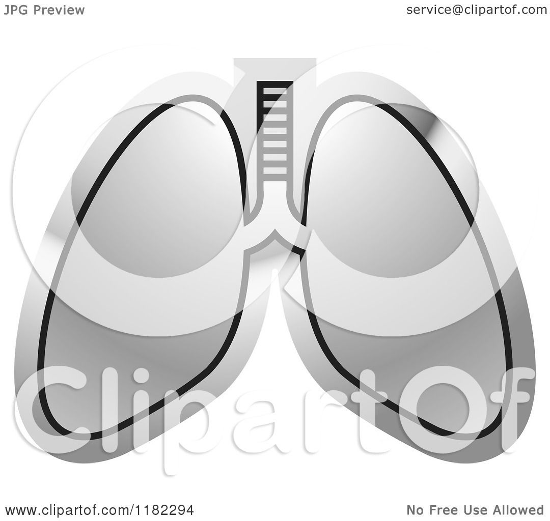 lungs clipart vector - photo #31