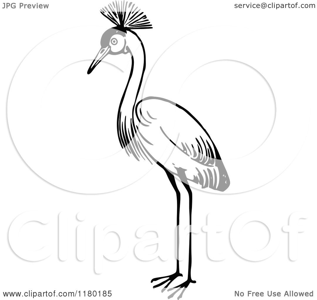 Clipart of a Black and White Crested Crane Bird - Royalty Free Vector