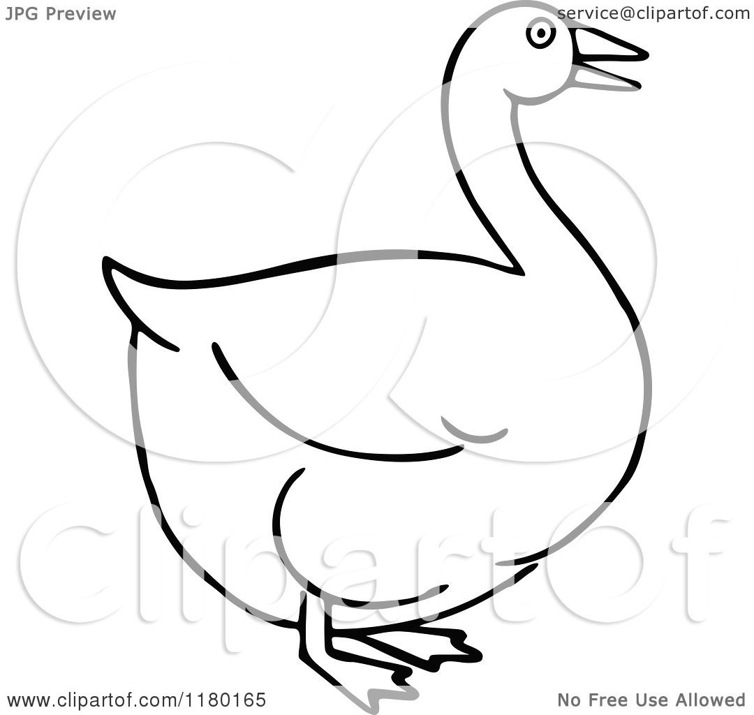goose clipart black and white - photo #10