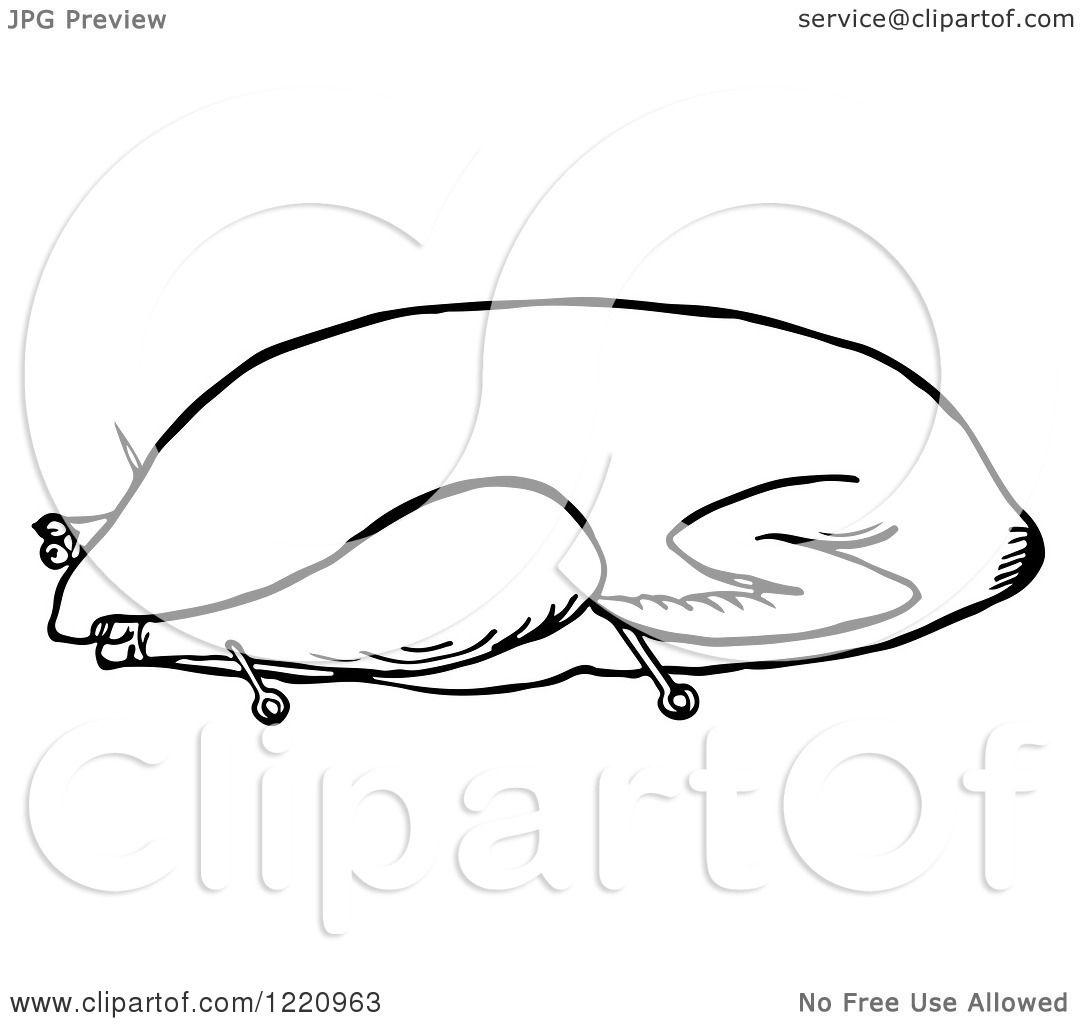 goose clipart black and white - photo #22