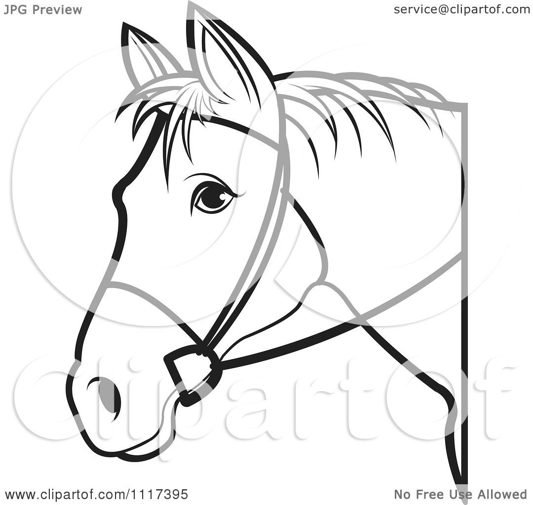 horse head clip art black and white - photo #29
