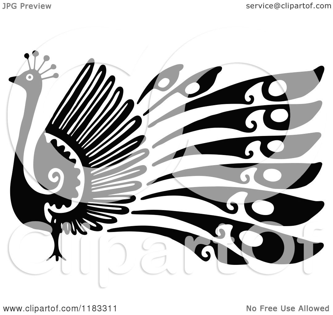 free black and white peacock clipart - photo #38