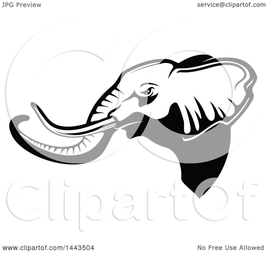 elephant mascot clipart - photo #37
