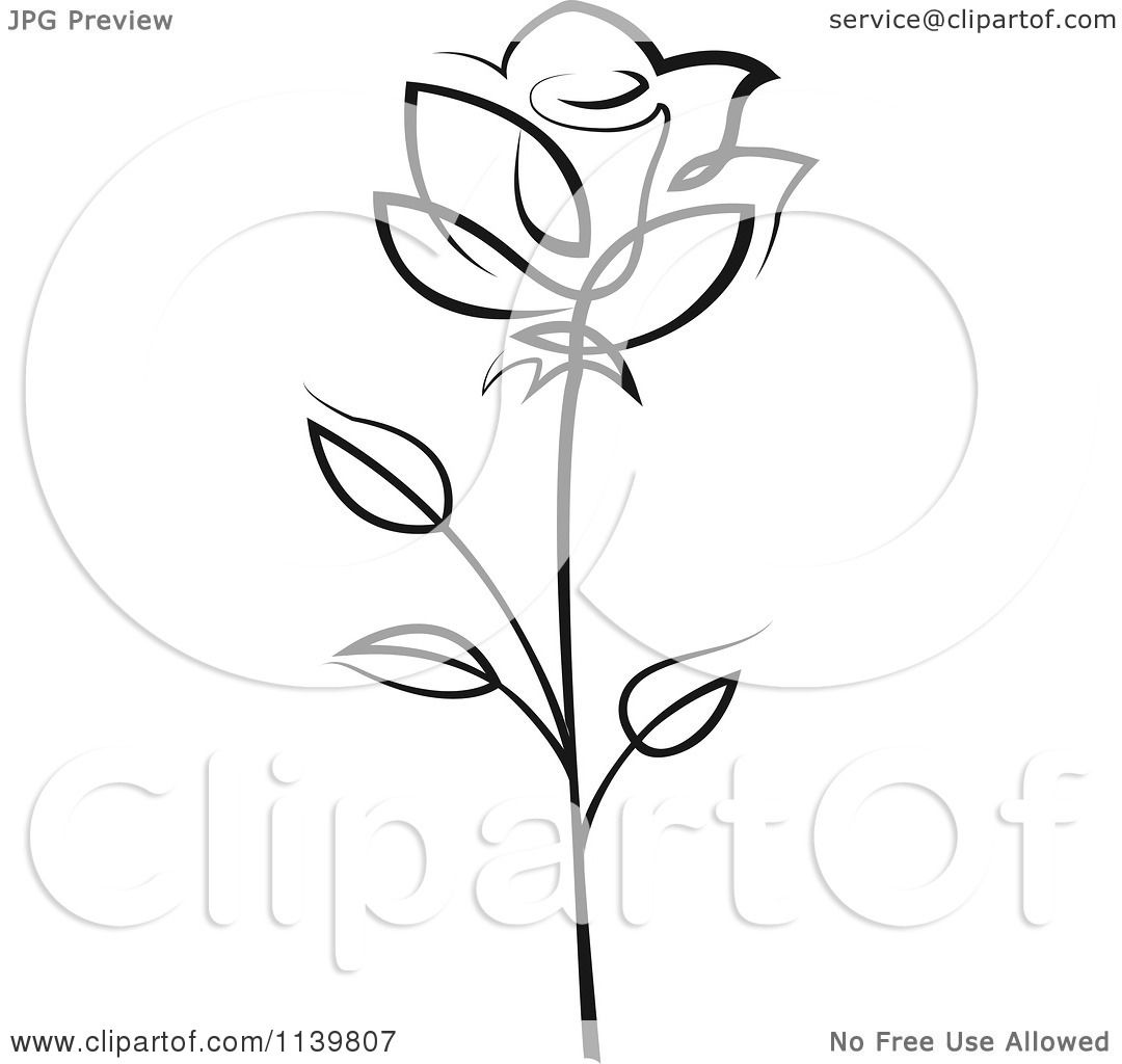 White Rose Clip Art