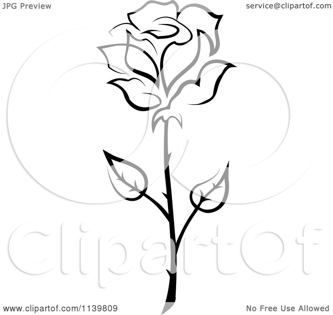 rose flower illustration vector clipart royalty tradition sm seamartini regarding notes