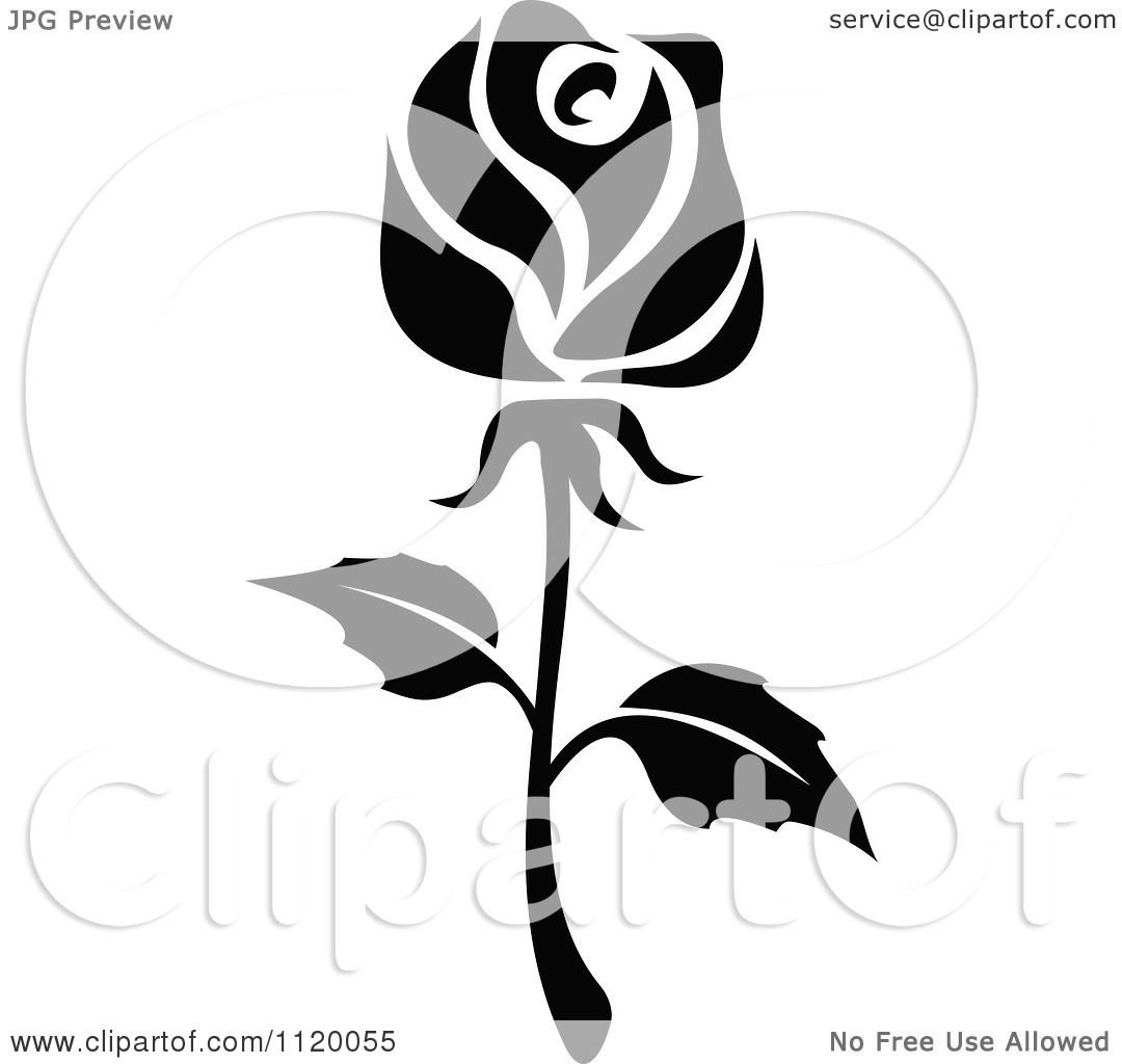 Single Rose Black And White Clip Art