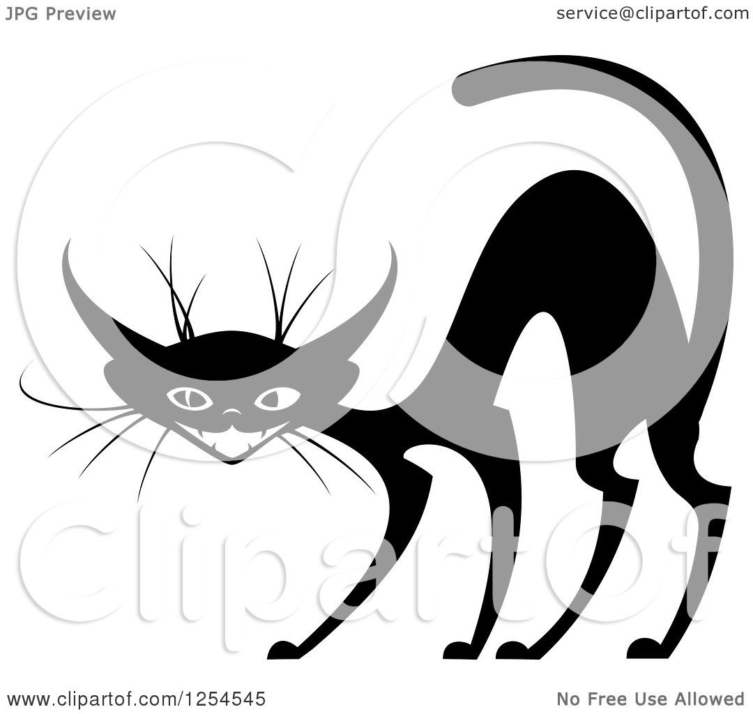 free clipart scared cat - photo #32