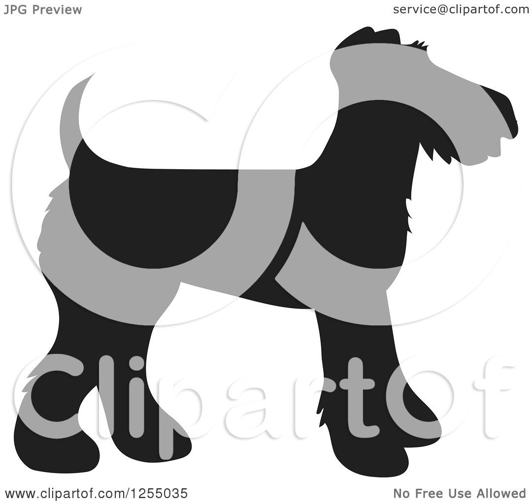 clipart terrier dog - photo #50