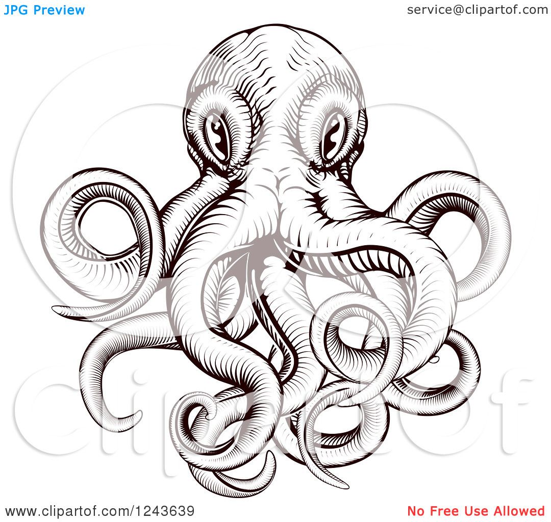 octopus clipart vector pack - photo #37