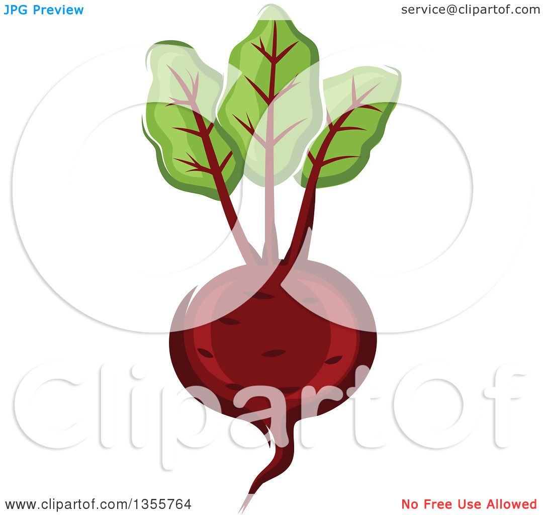 free clipart beets - photo #50