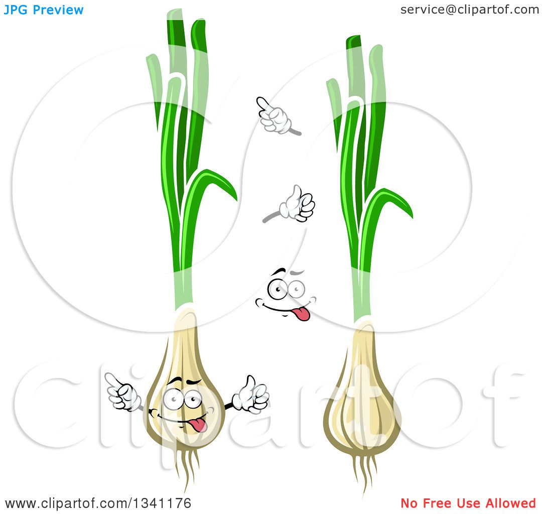 spring onion clipart - photo #43