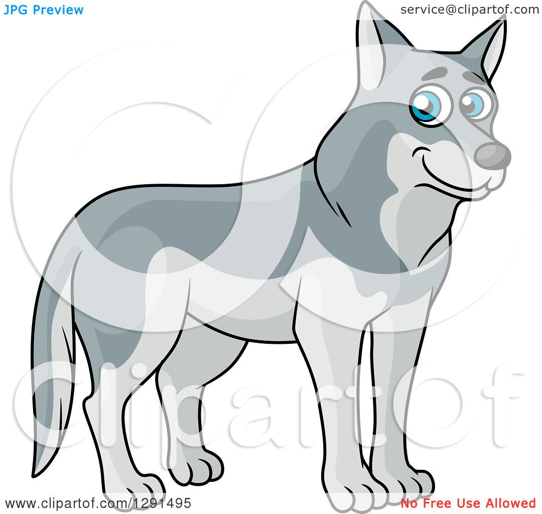 Clipart of a Cartoon Happy Blu Eyed Gray Wolf - Royalty ...