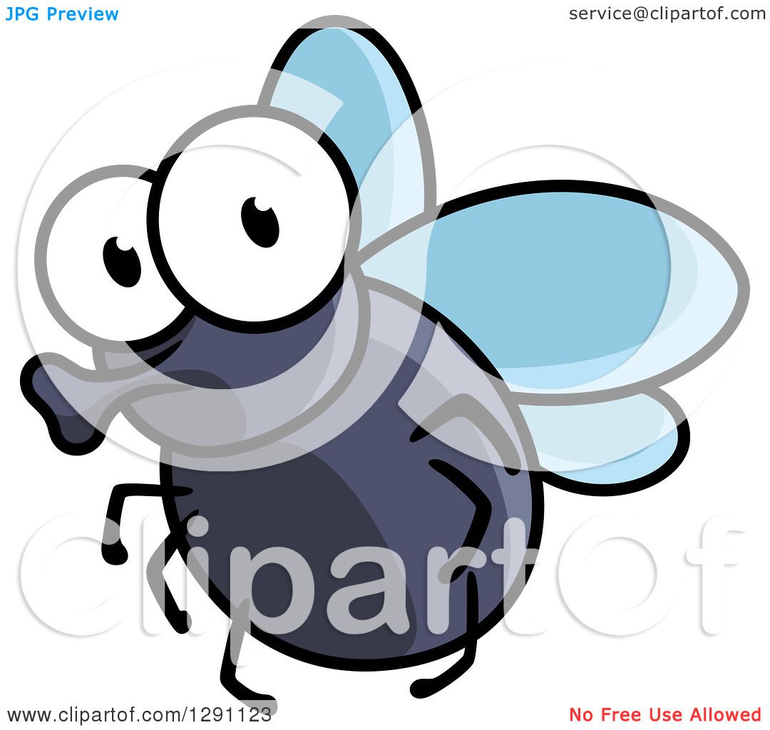 clipart of house fly - photo #35