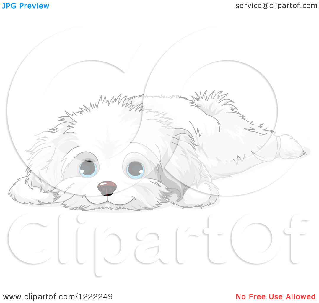maltese coloring pages - photo #22