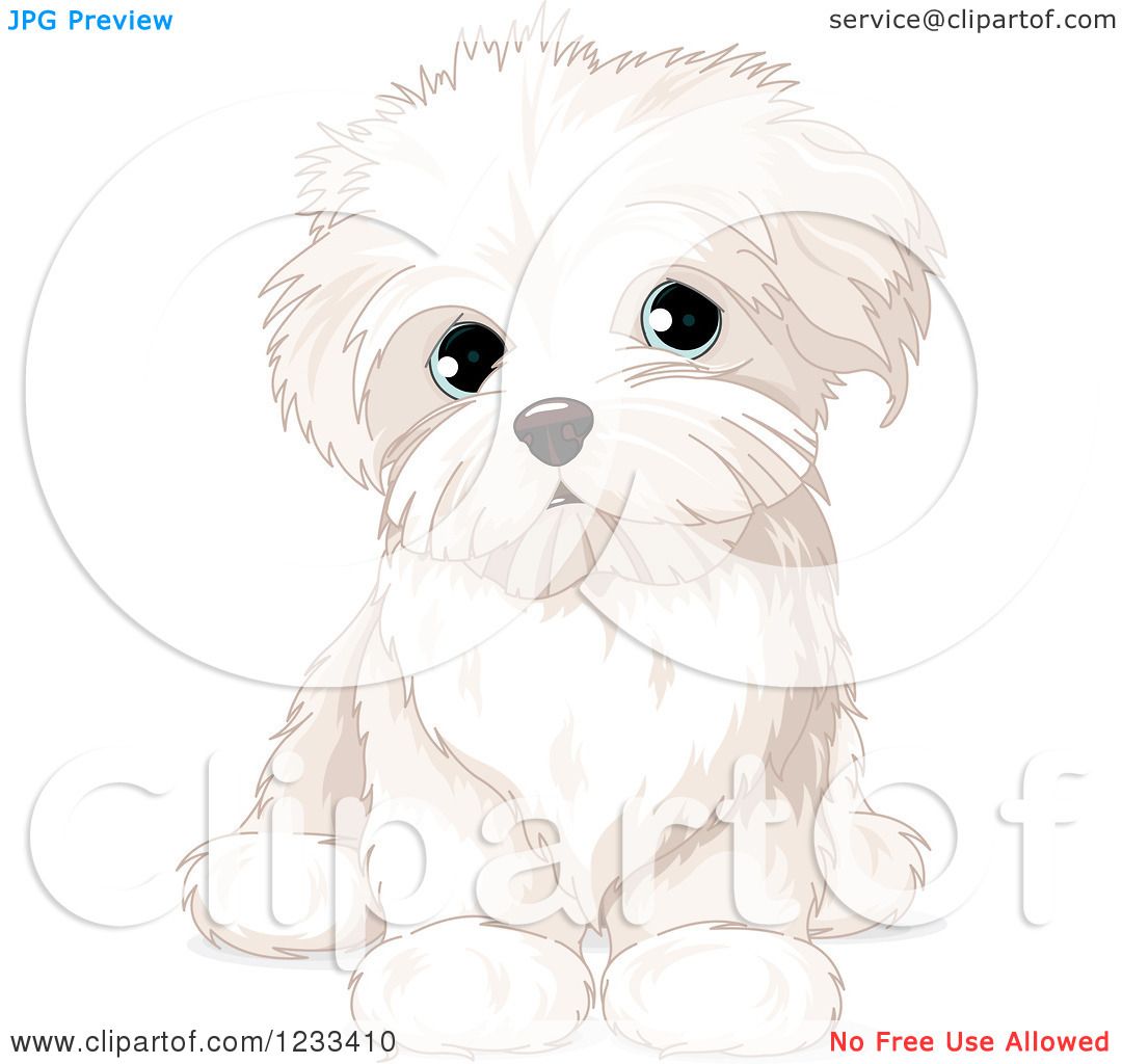 free clip art maltese dog - photo #25