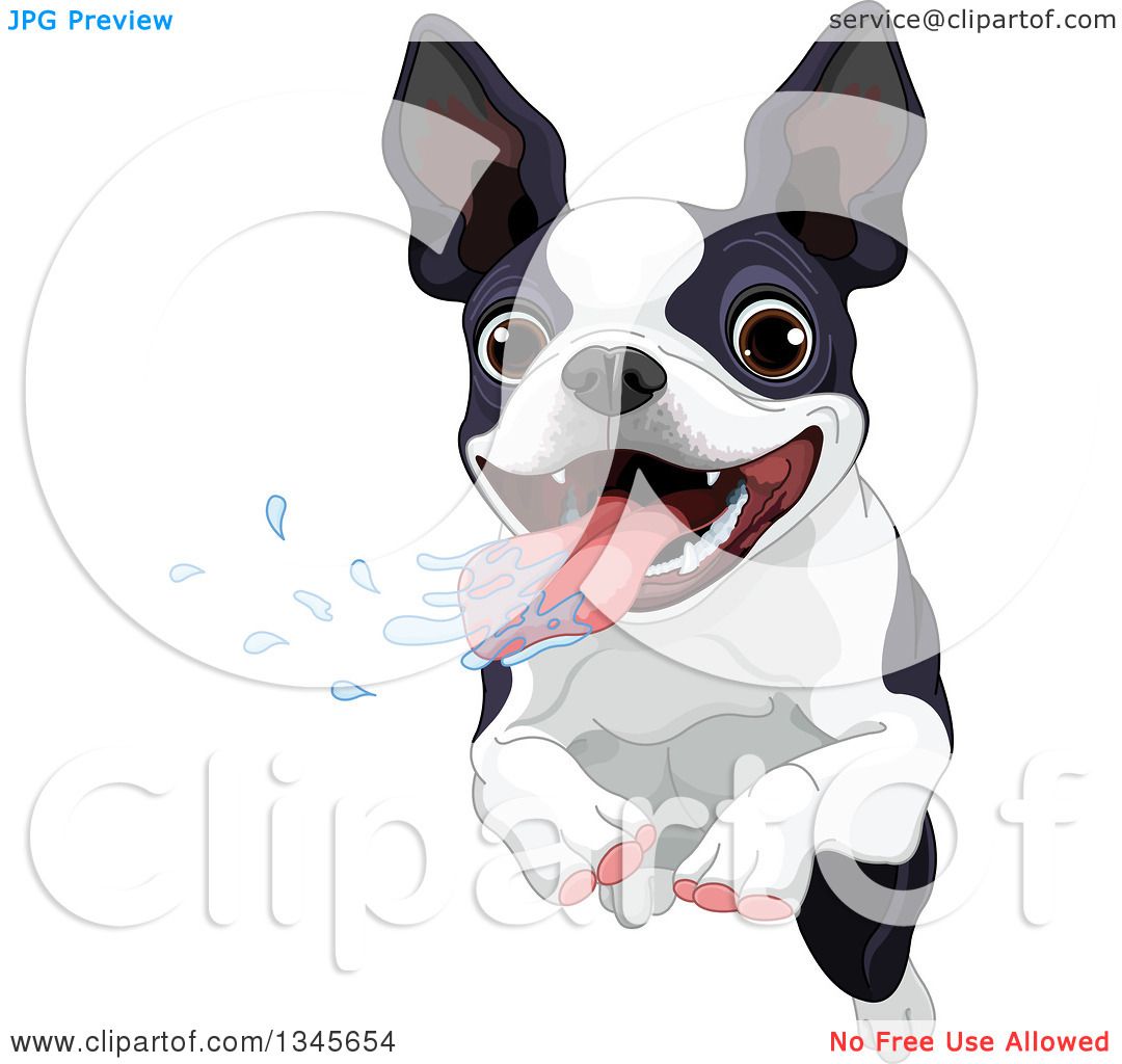 clipart terrier dog - photo #45