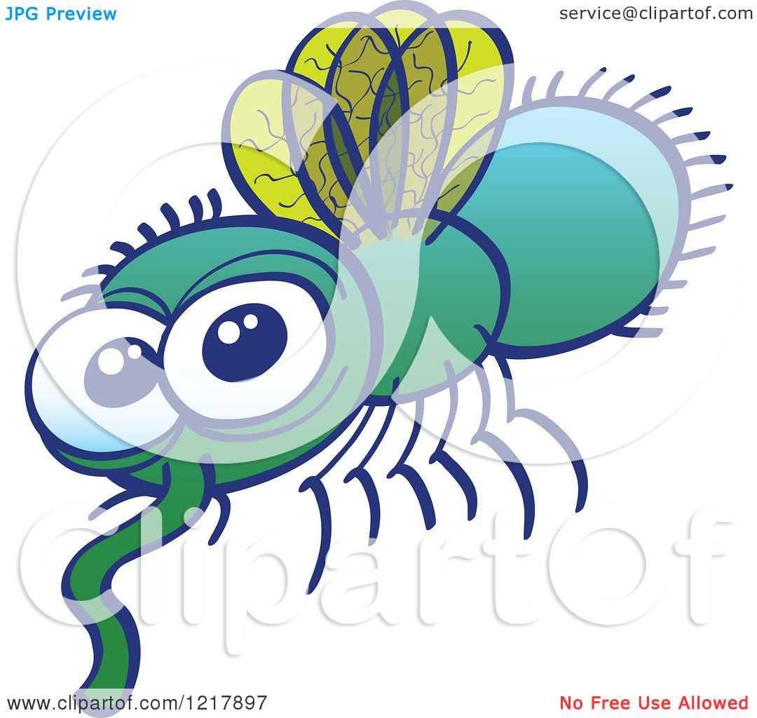 clipart of house fly - photo #43