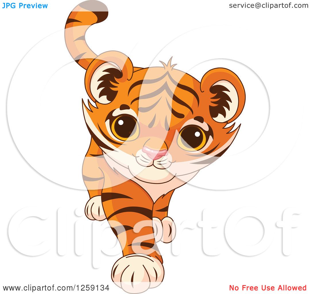 Clipart of a Cute Playful Tiger Cub Walking - Royalty Free ...