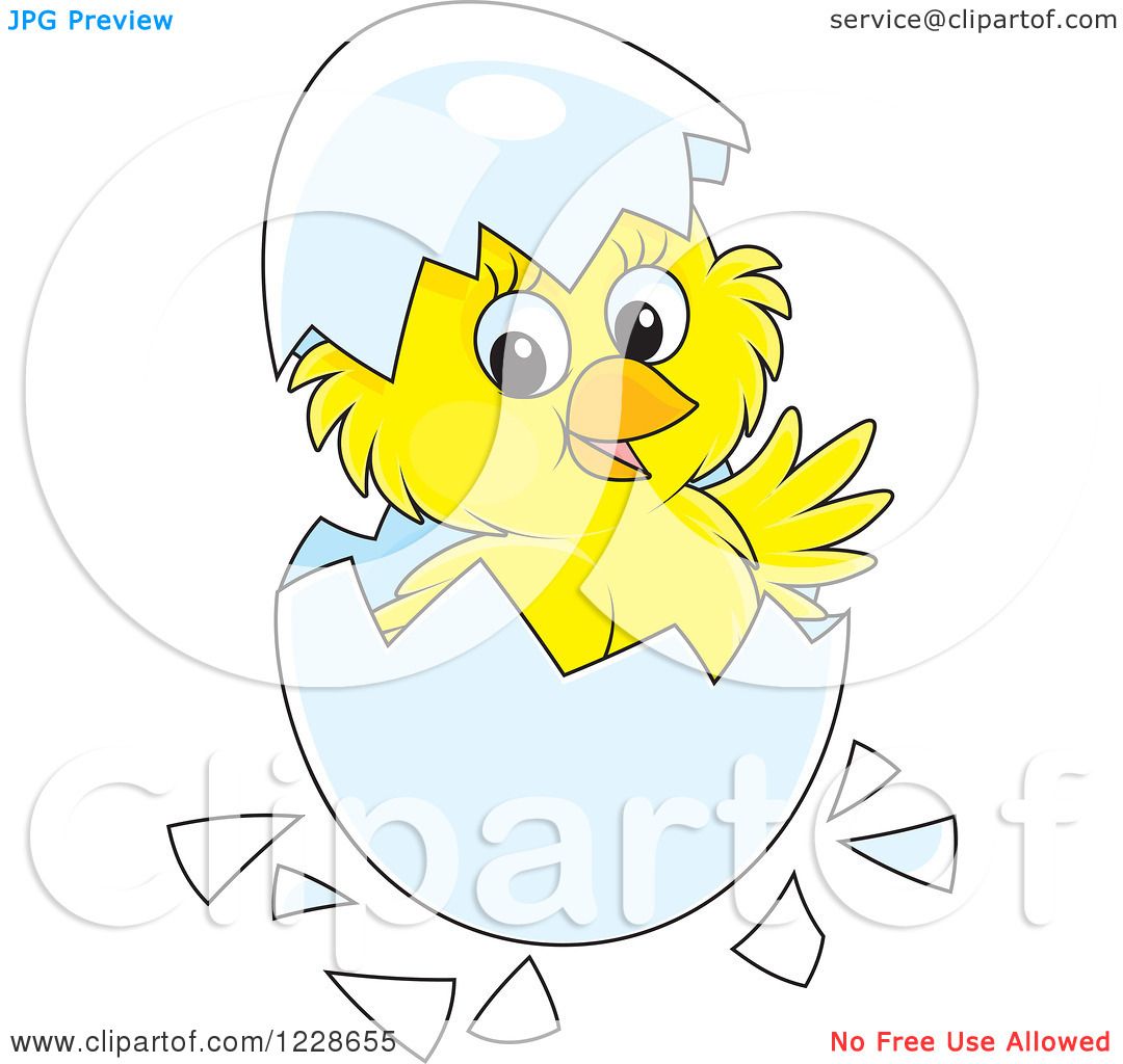 chick hatching clipart - photo #40