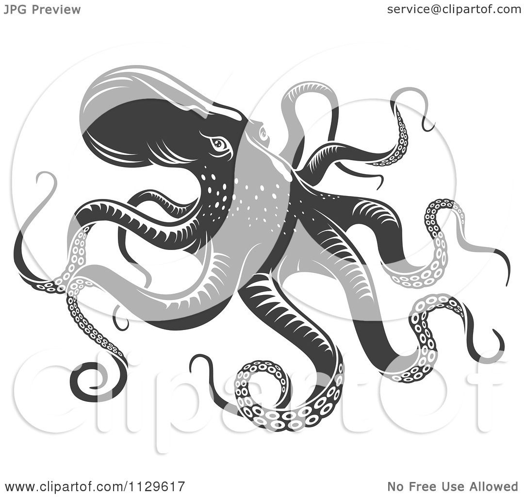 octopus clipart vector free - photo #31
