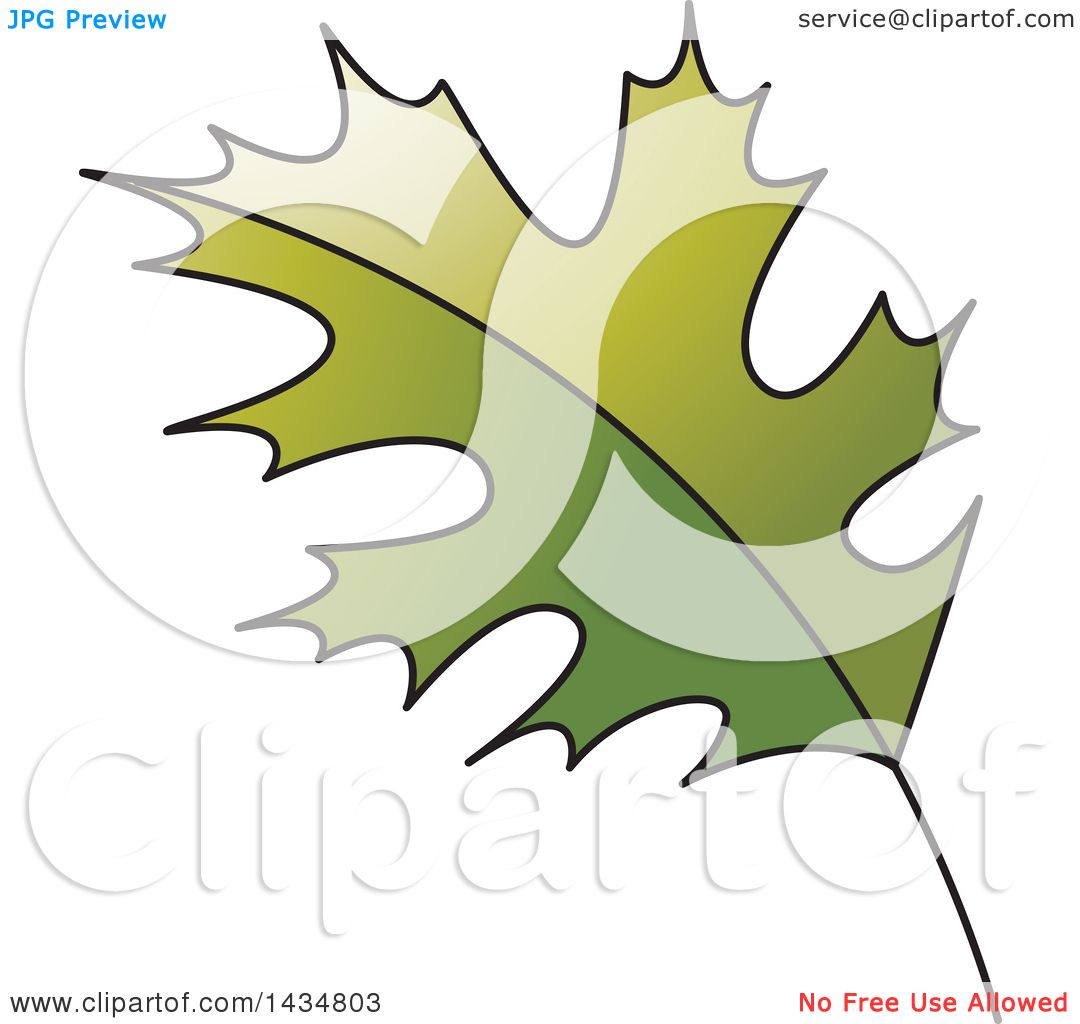 clipart green maple leaf - photo #49