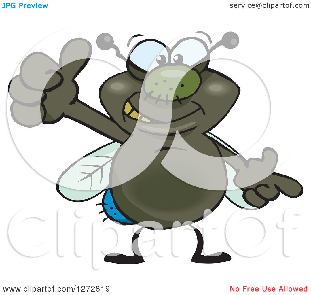clipart of house fly - photo #46
