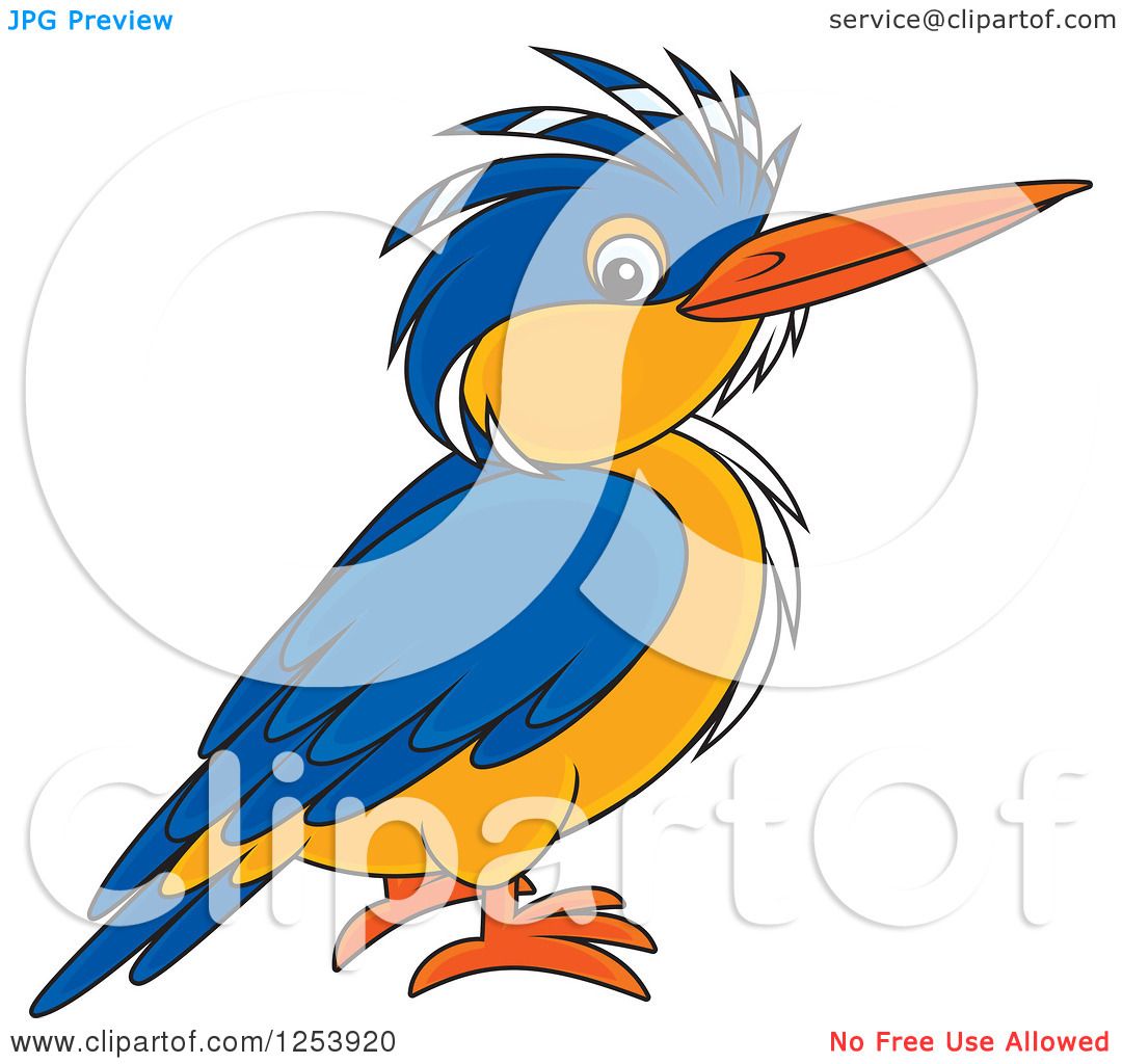 clipart kingfisher bird - photo #40