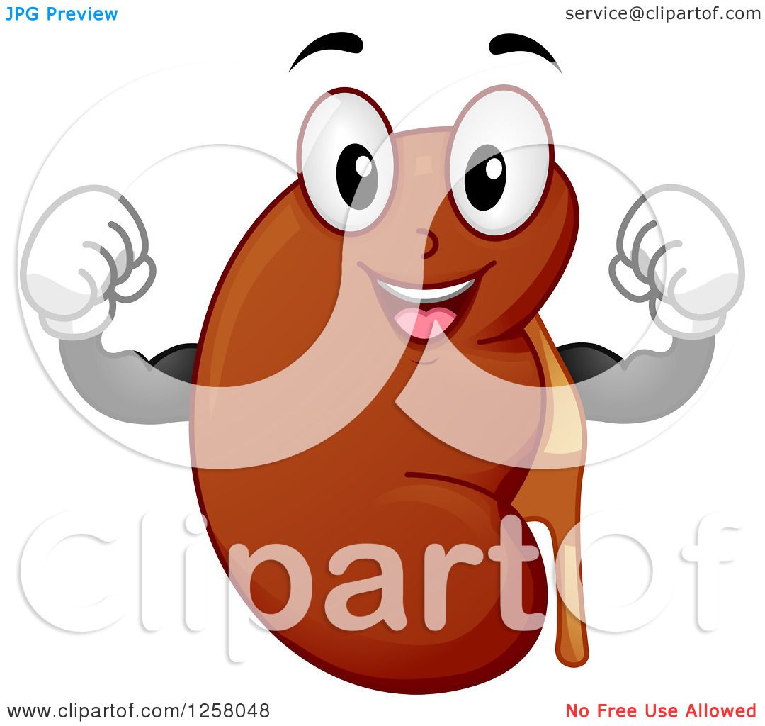free cartoon kidney clipart - photo #12