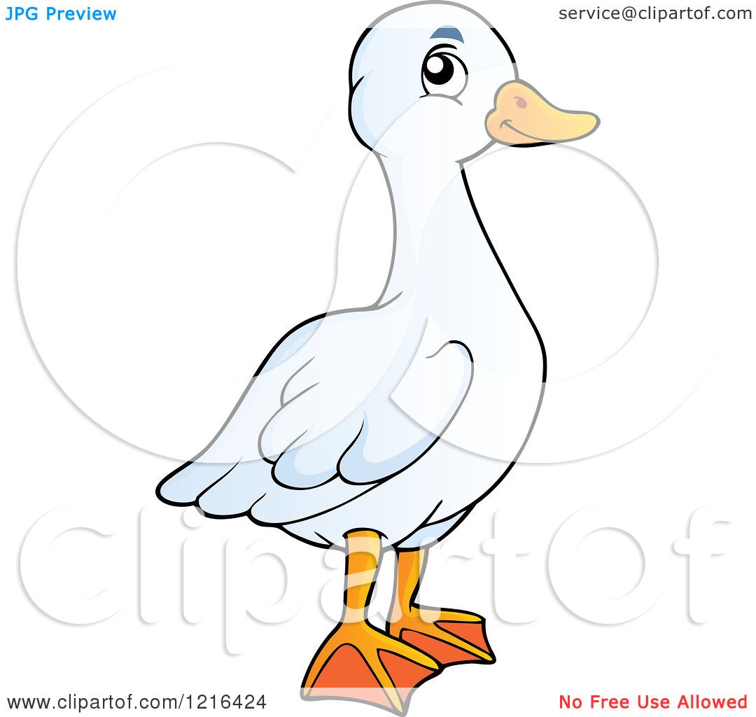 silly goose clipart - photo #21