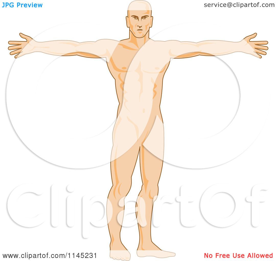 clipart human anatomy - photo #46