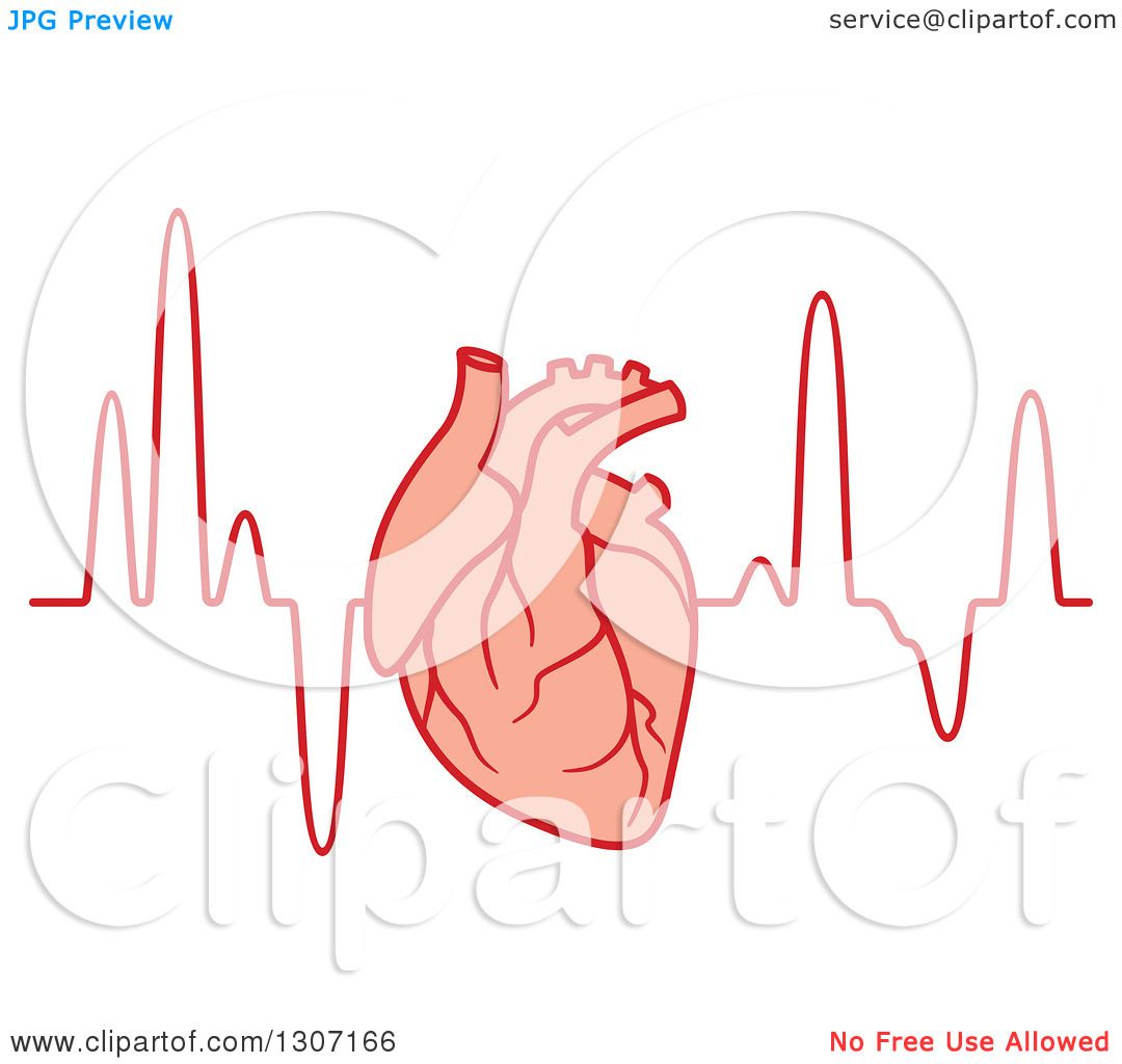 human heart clipart free - photo #50