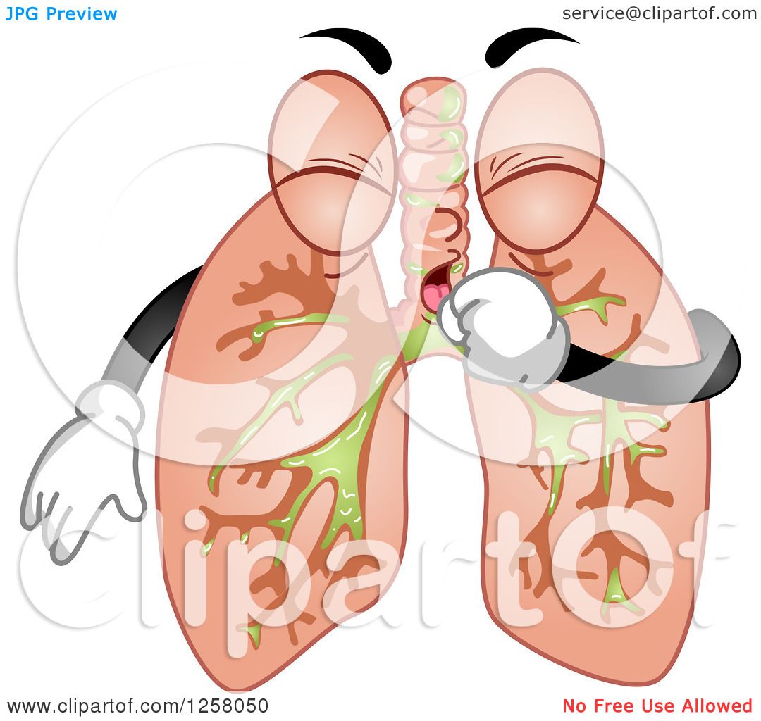 clipart human lungs - photo #33