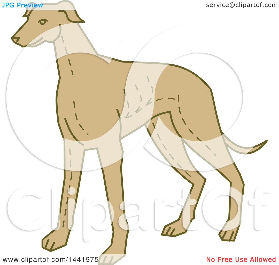 free greyhound dog clipart - photo #38