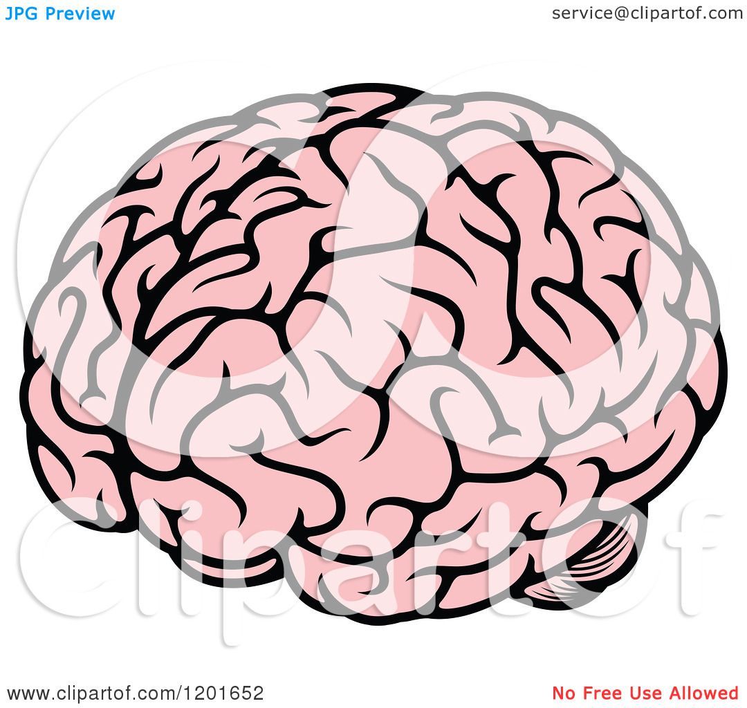 clipart of human brain - photo #19