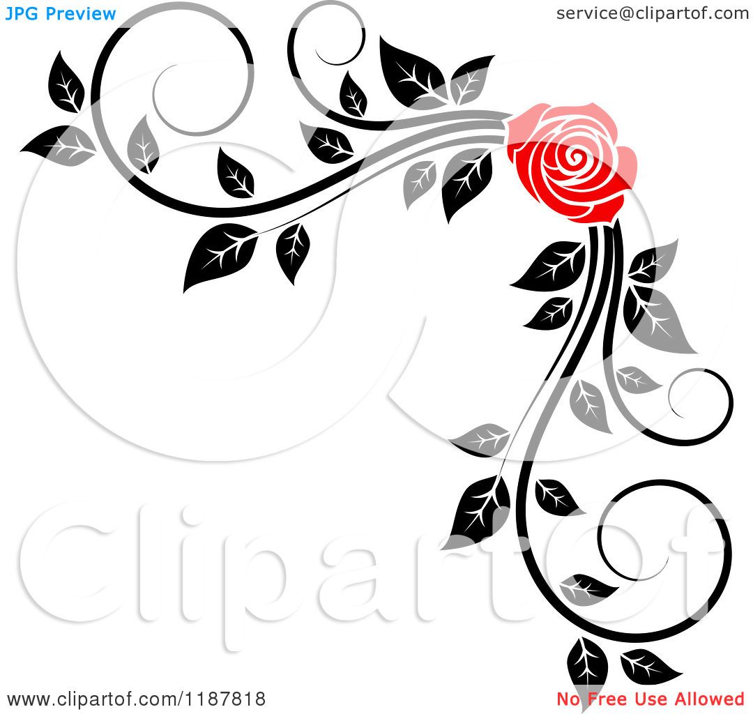 Rose Clip Art Black And White Border