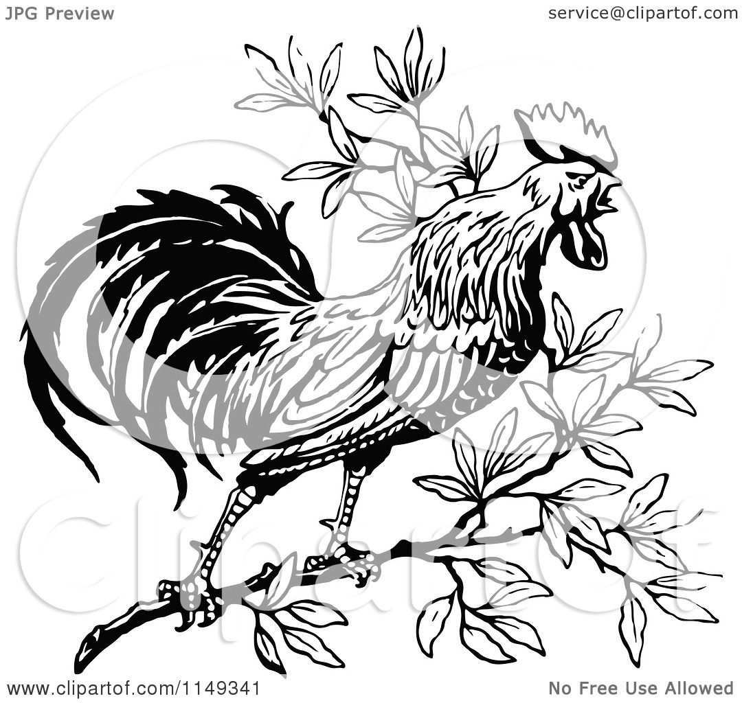 Rooster Crowing Clip Art Black And White