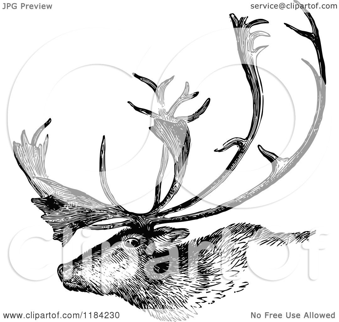 Clipart of a Retro Vintage Black and White Deer Stag ...