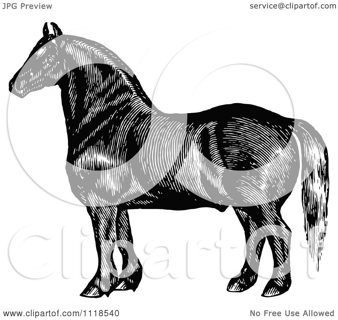 Clipart Of A Retro Vintage Black And White Horse 3 ...
