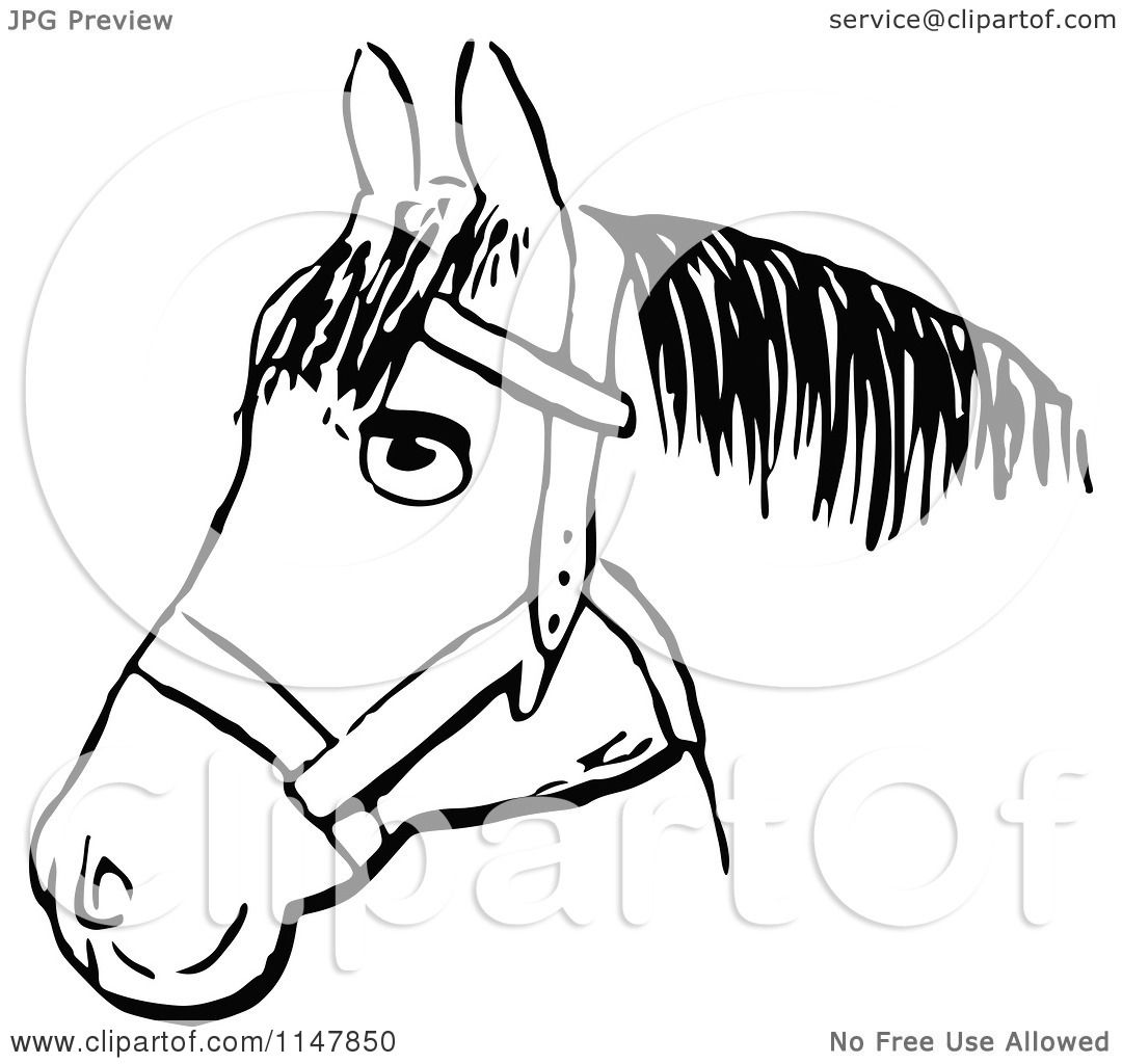 horse head clip art black and white - photo #42