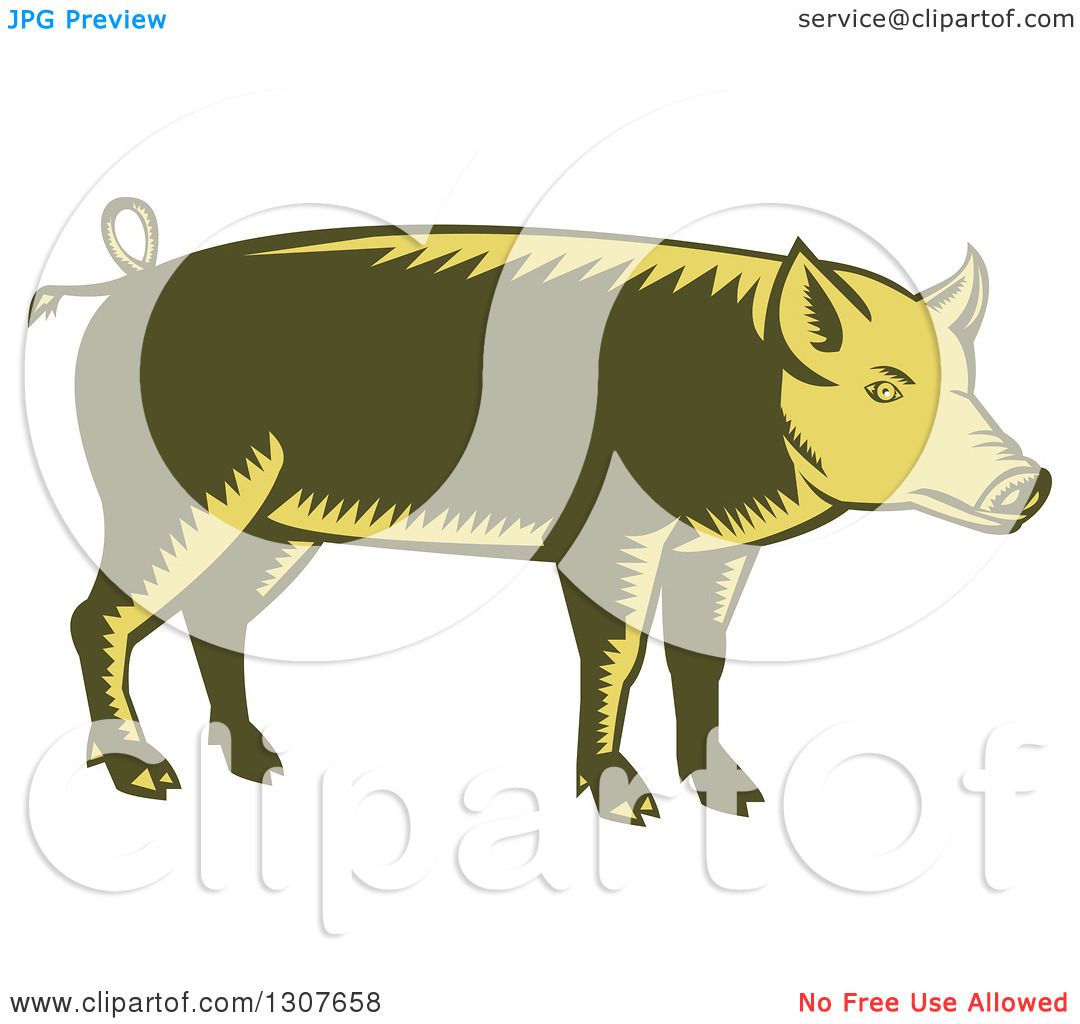 yellow pig clipart - photo #6