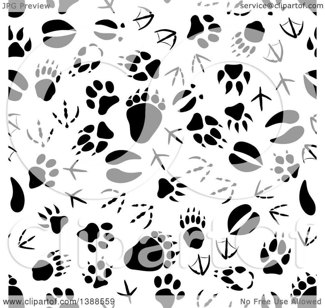 free clipart animal footprints - photo #44