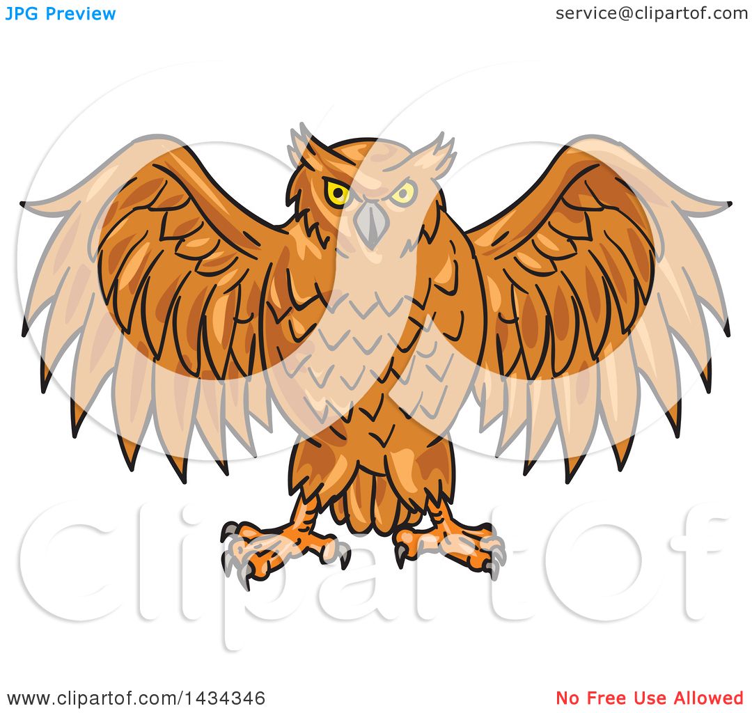 Clipart of a Sketched Angry Owl with His Wings Open ...