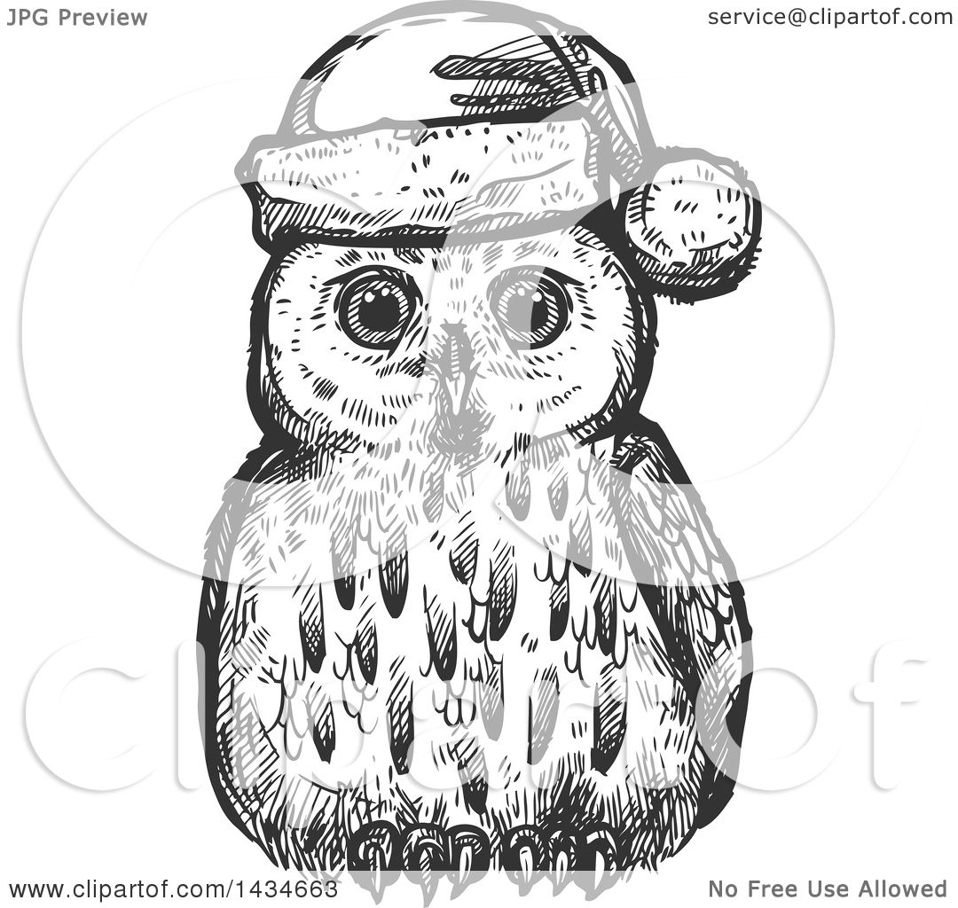 Clipart of a Sketched Dark Gray Christmas Owl Wearing a ...