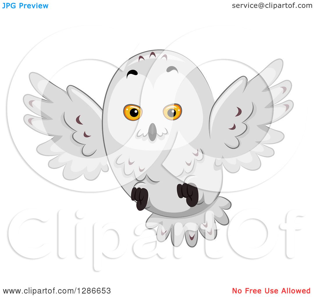 clip art snowy owl - photo #37