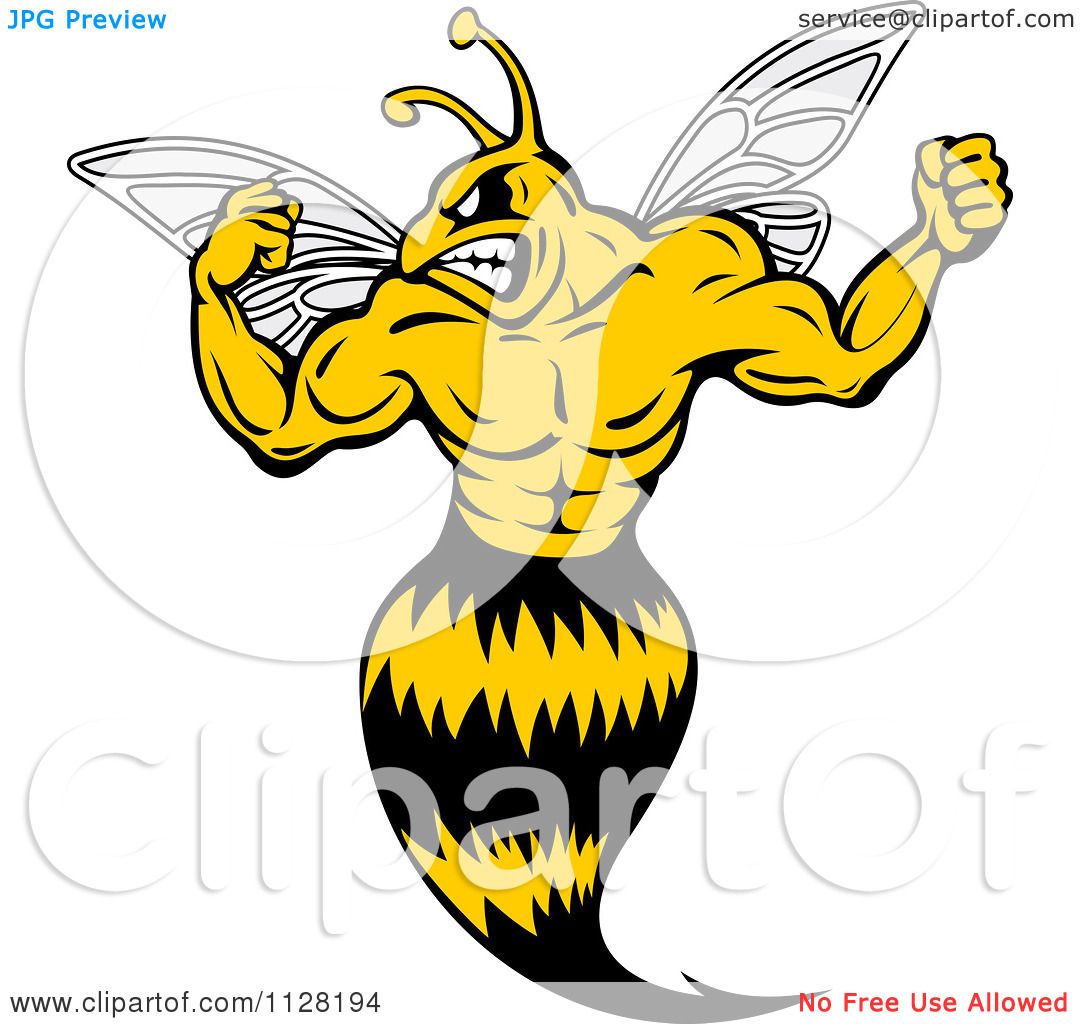 clipart of yellow jacket - photo #32