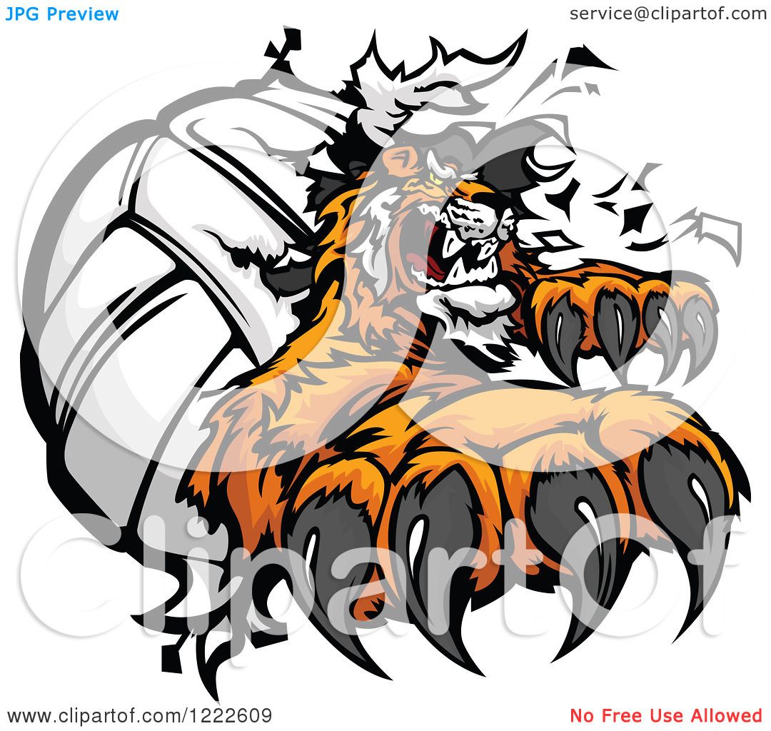 tiger volleyball clipart - photo #15